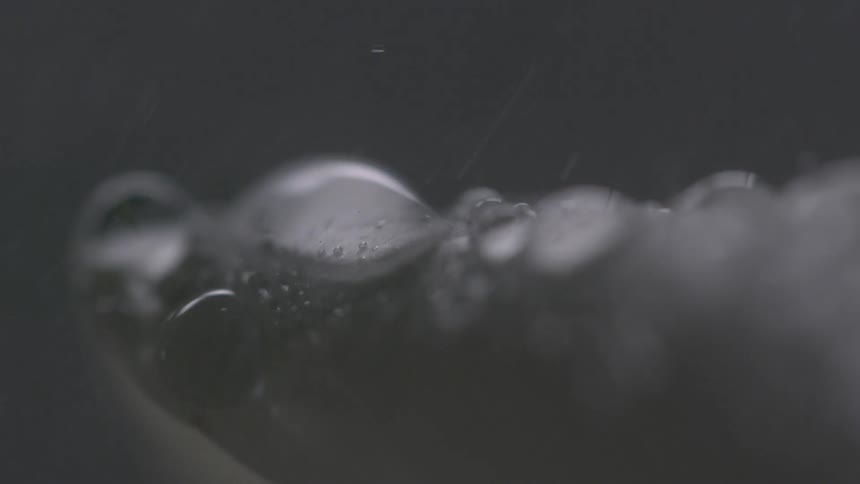 Water drops are falling on a leaf