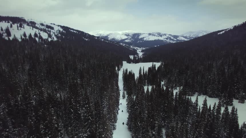 Skiers ski along path through conifer forest between mountains during winter