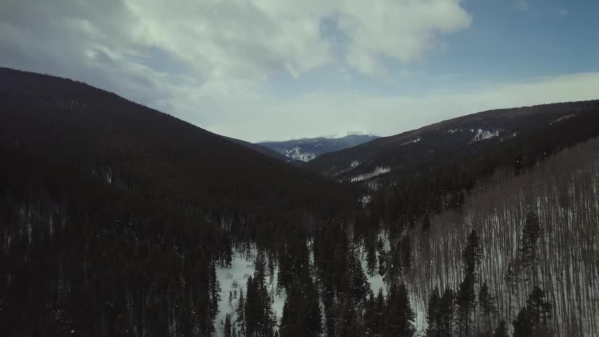 Aerial panorama of mountain ranges covered in snow and with conifers