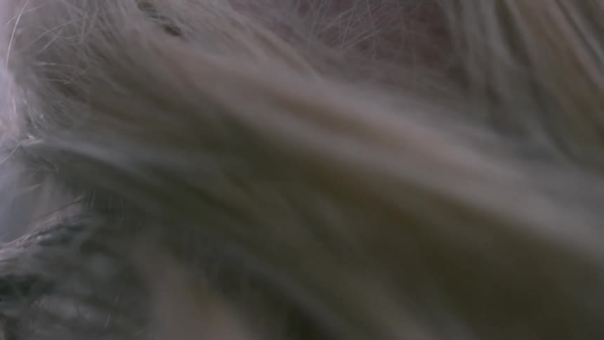 Hair falls around a woman's face