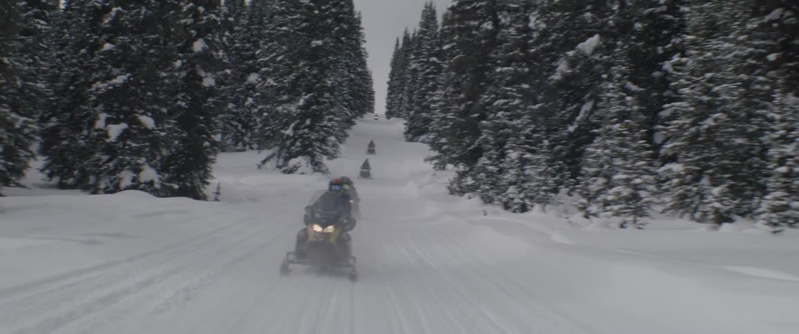 People riding on snow mobiles during the day