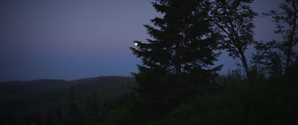 View from the peak of a mountain with trees against a purple sky with the moon on the horizon