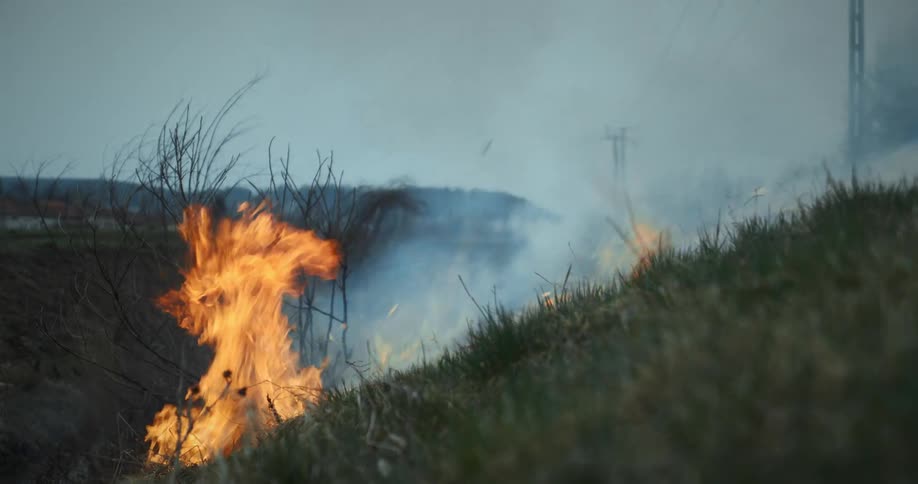 View of a grassland in a small area on fire