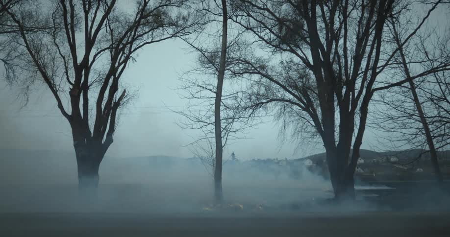 Fire burning the grass amid trees next to a highway