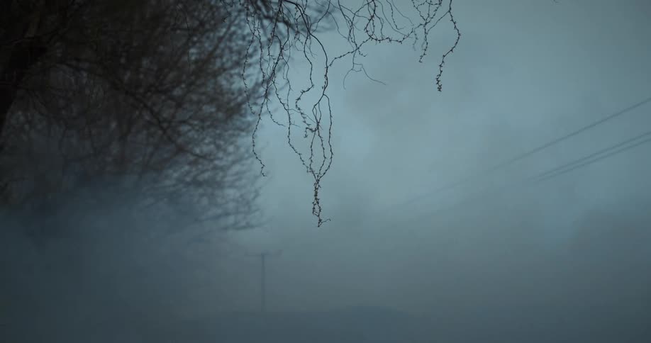 Smokes and fog covering the road with a tree nearby