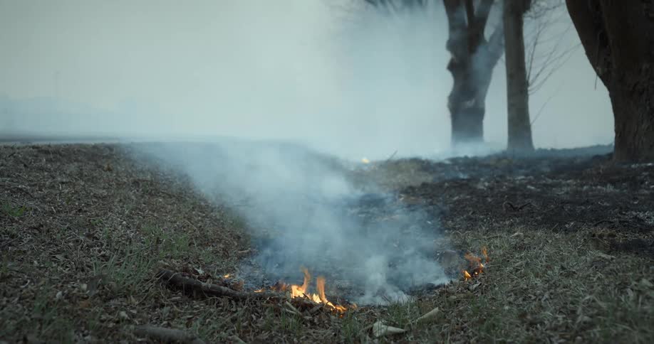 End of a fire on a grassy area emitting smoke