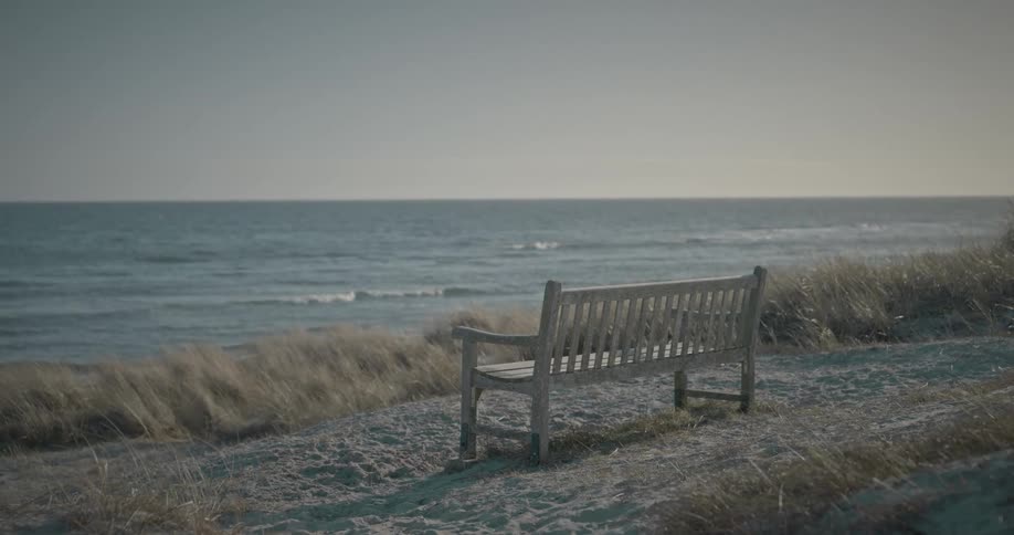 A clip of a bench on the beach