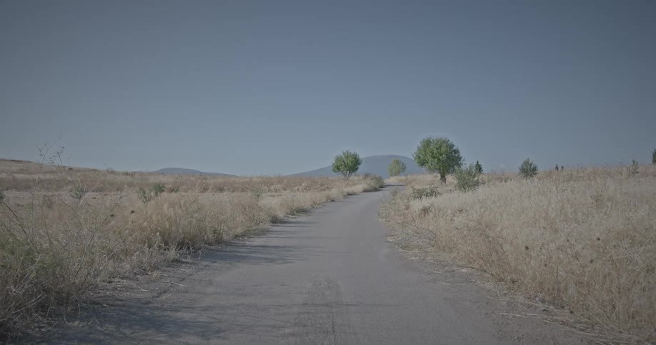 Plants and weeds along a rural road move in the breeze with mountains in the distance