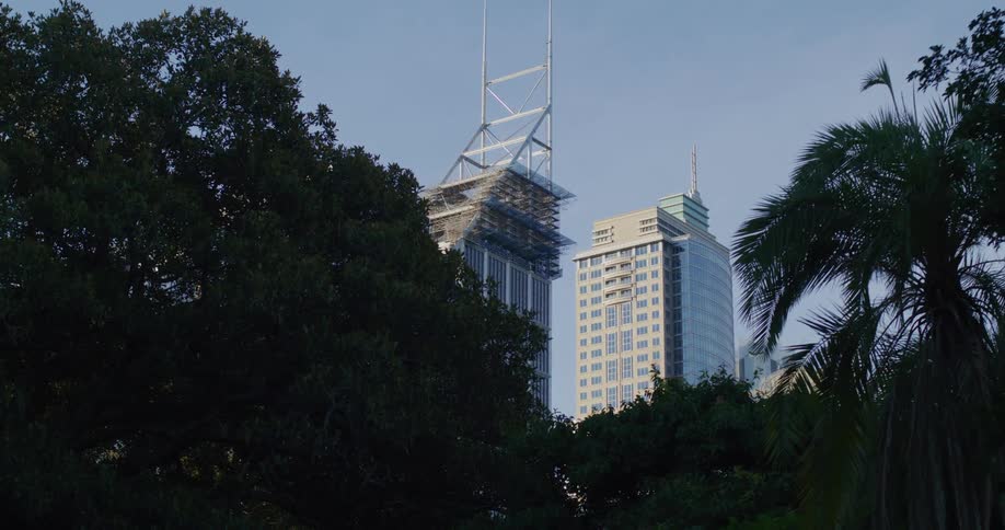 Trees partially obscure two skyscrapers