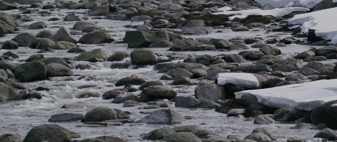 The stream is full of large rocks