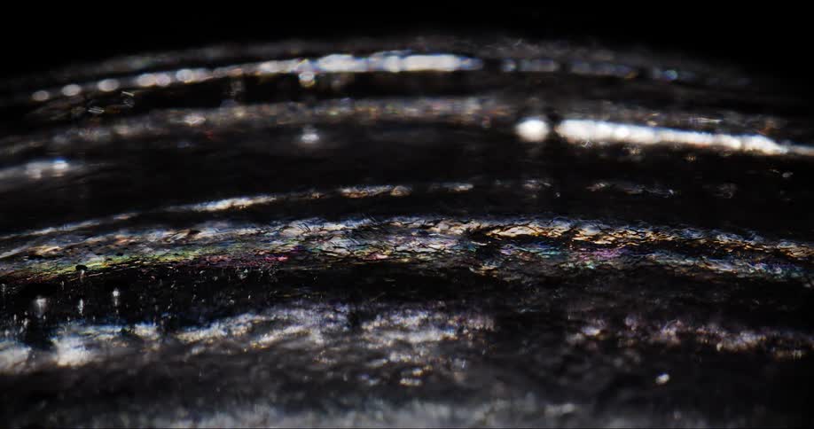 A closeup of a wet oily surface reflecting lights