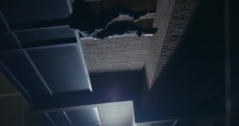 Person rappels down the side of a building at night