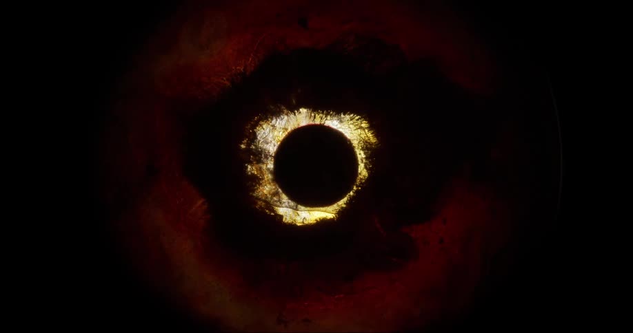A very dark circle is surrounded by a ring of light that is moving