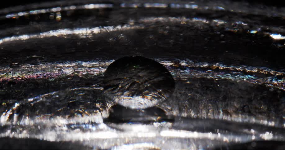 Microscopic view of one bubble attaching to another in slow motion in a shiny transparent liquid