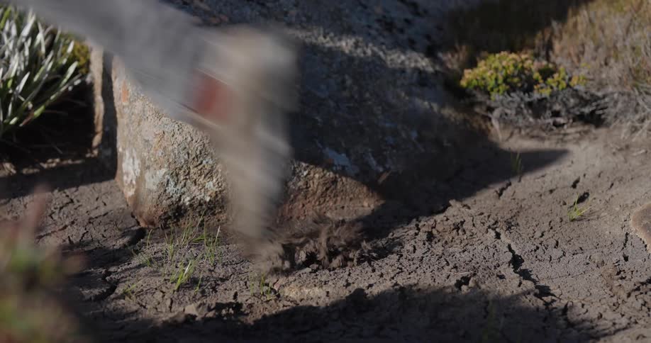 A hiker makes an impression on loose soil