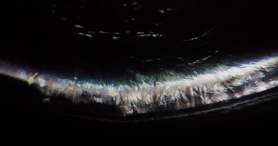 Light reflects off the liquid moving on the object