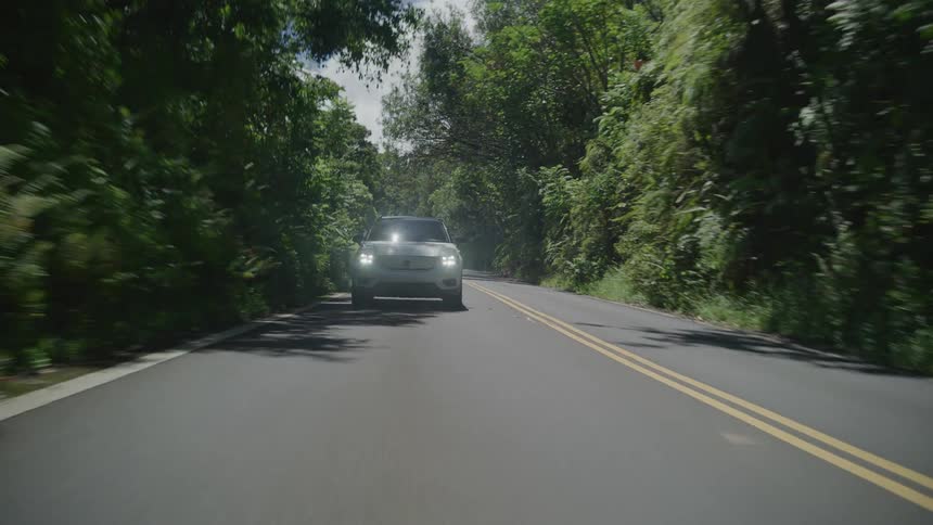 A car is driving on the road by the forest