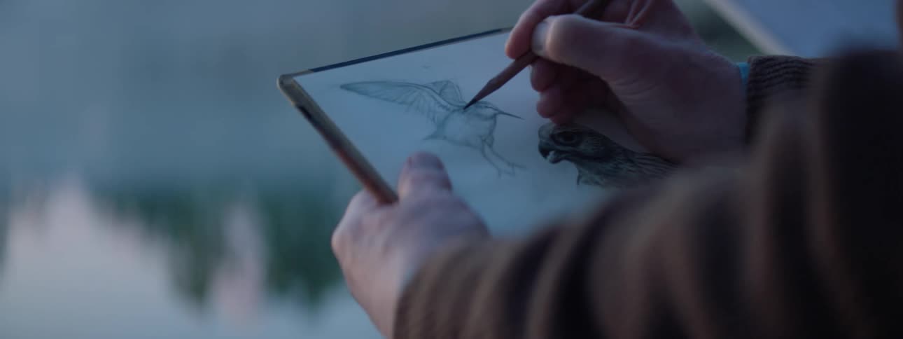 A person making a sketch of a bird on a tablet