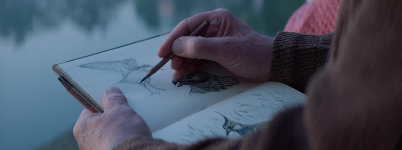 A man sitting outdoors draws a picture of a bird