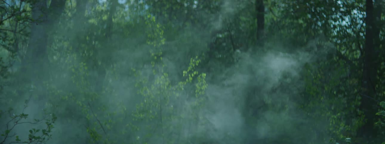 Pale smoke rises through forest air