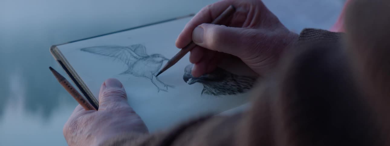 Elderly hands sketch a bird on a notebook with pencils