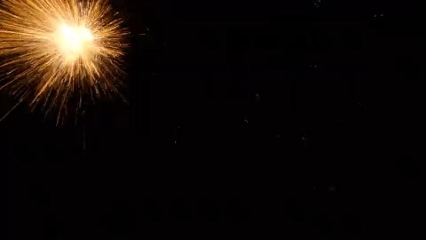 Numerous fireworks are released into the darkness of the night sky