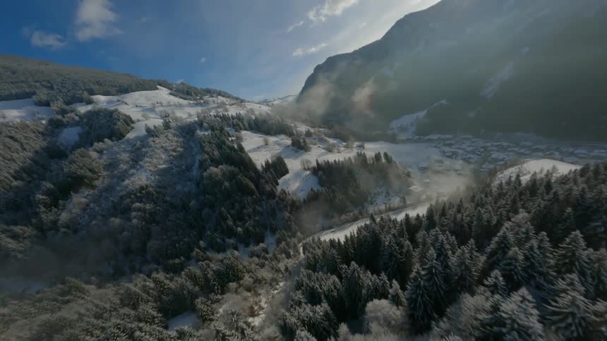 Mountain close to a forest covered in snow during winter