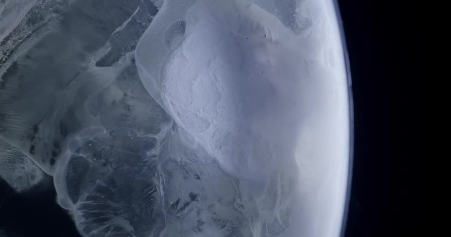 Bright moon seen from space