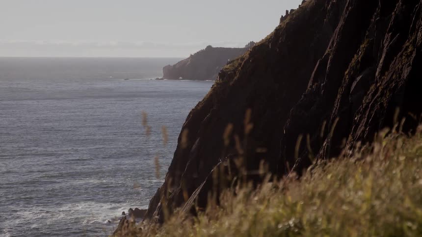 A view of a mountain with a cliff that leads straight to the sea and in front of some tall grass moving in the wind and the sea on the horizon