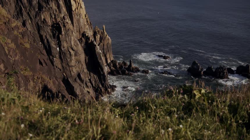 Coast next to the sea on cliff during the day