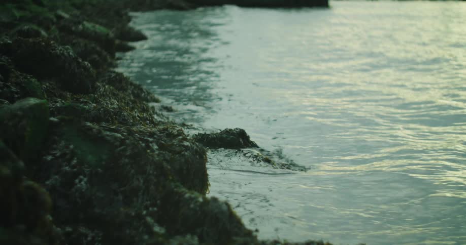 Gentle waves break on the rocky shore of the beach at sunset