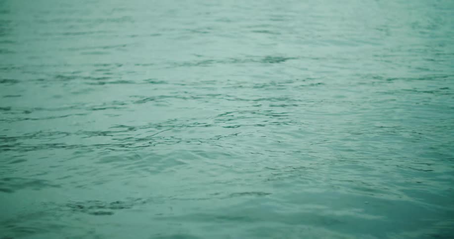A placid body of water