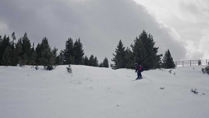 Skier takes low jump in fenced field near conifers on a cloudy day