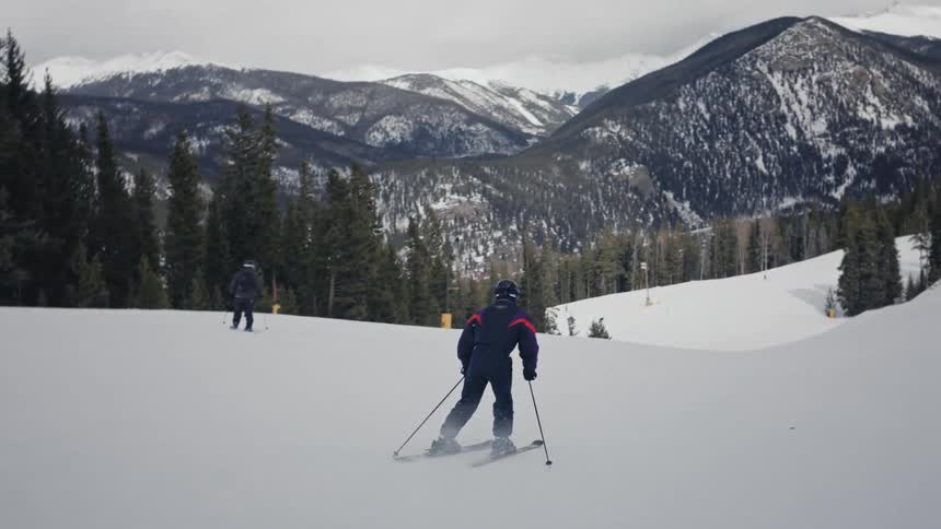 A person using skis to descend a snowy mountain and at the base of the mountain into a pine forest