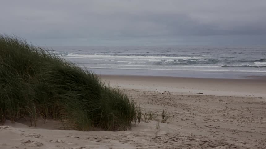 Ocean waves crash upon the shore