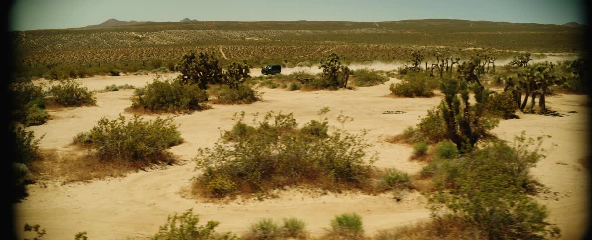 Black jeep traveling on a dirt road with desert vegetation around