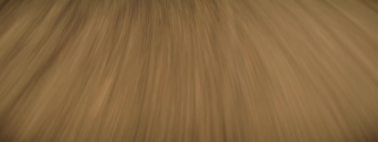 Point of view of a gray road in a desert location