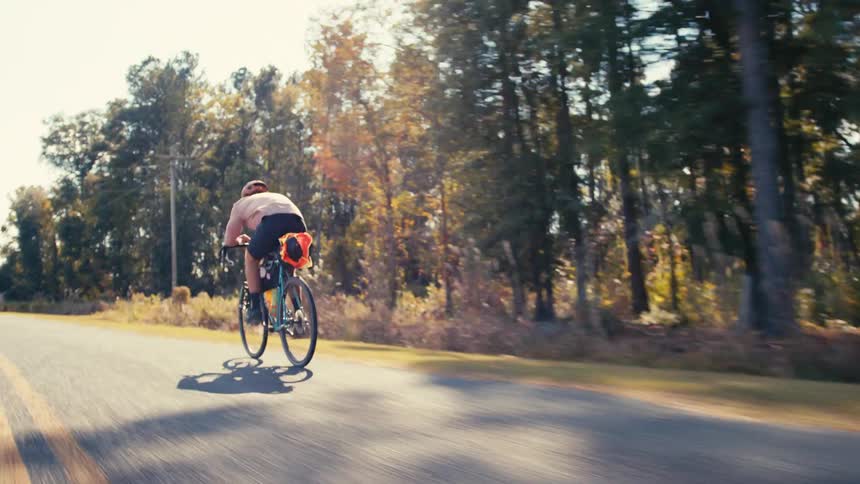 A person riding a bicycle on a road next to a forest at daytimection