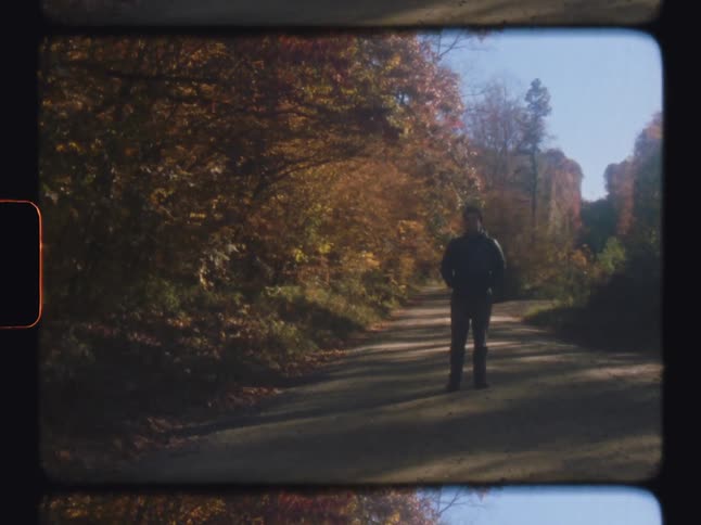A man stands on a path in a forest