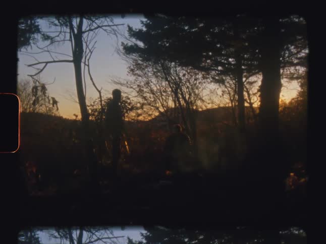 Person stands in silhouette near trees looking at sunset horizon