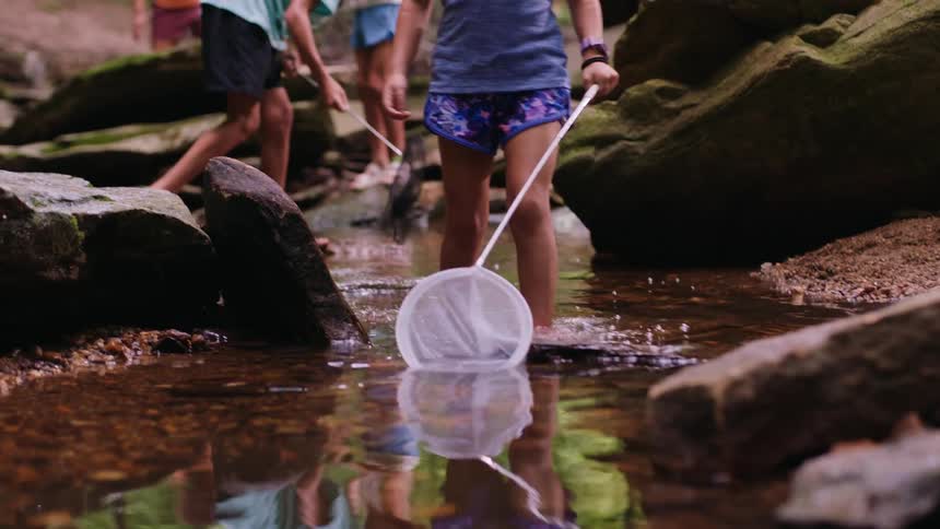 The children are in a forest stream trying to fish