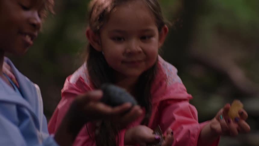 Children play with rocks in the forest during the day
