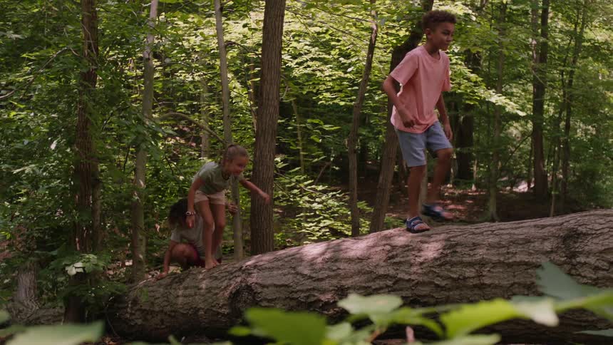 Four children walking on a fallen tree trunk in a forest