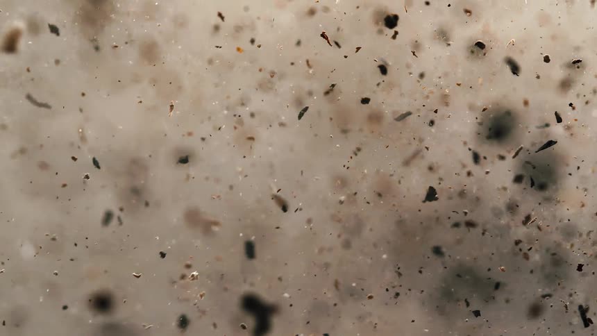 Debris floating and swirling around in water