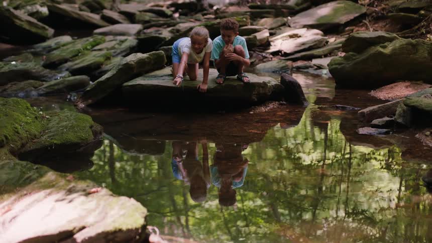 Children watching fish in a small stream in the forest