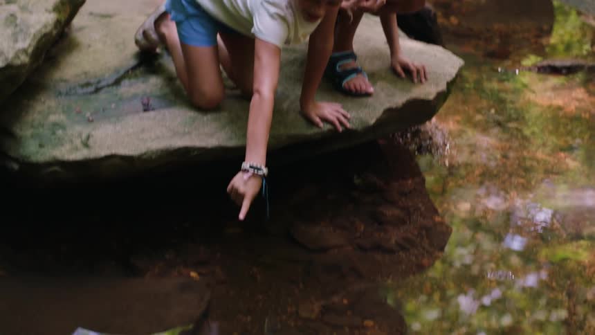 Boy and little girl crouching on a rock facing a shallow lake in the middle of the forest