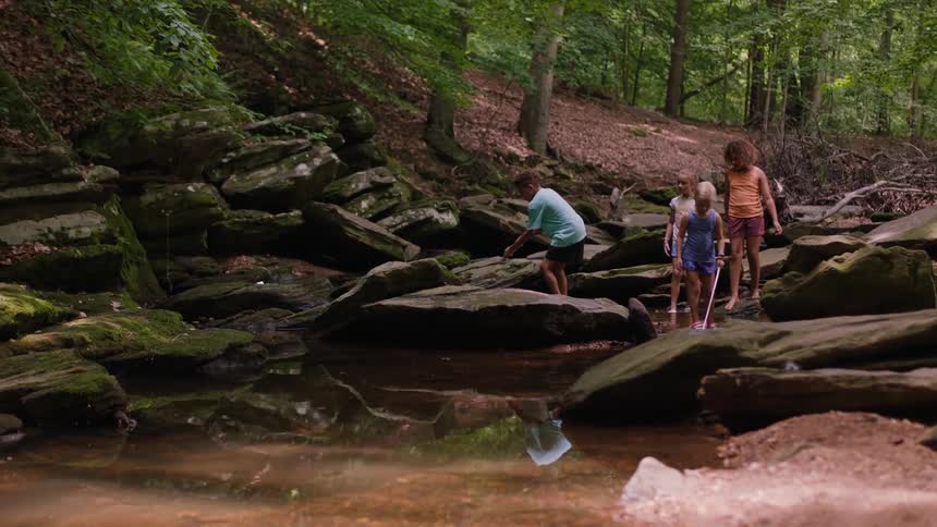 Four children with nets walking over rocks to try and catch fish on a forest pond