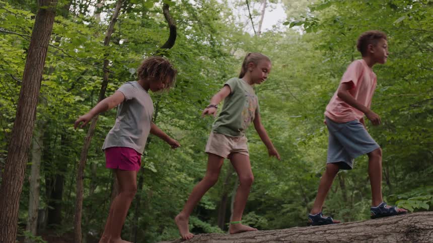 A boy and two girls walk across a felled tree