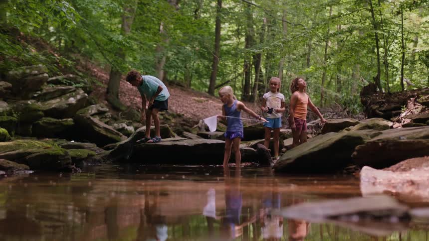 Children in a lake in the middle of a forest playing