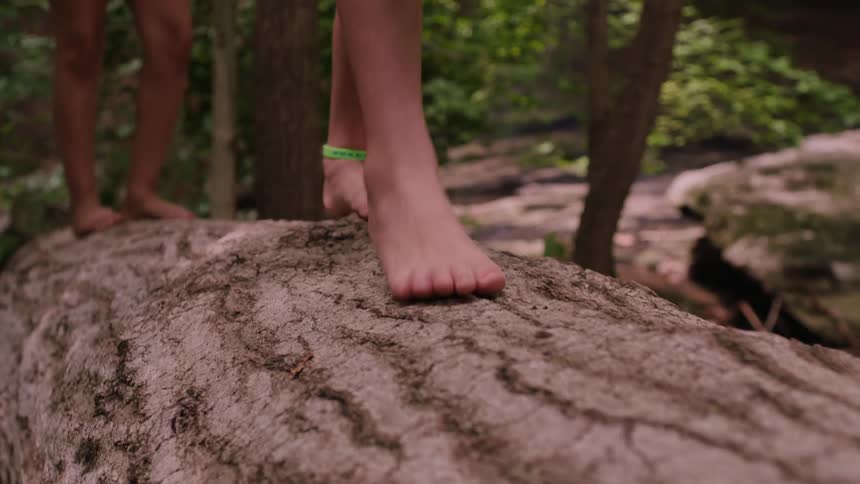 Three children walking on a tree trunk fallen on the floor in the wood two barefooted with one wearing a sandal